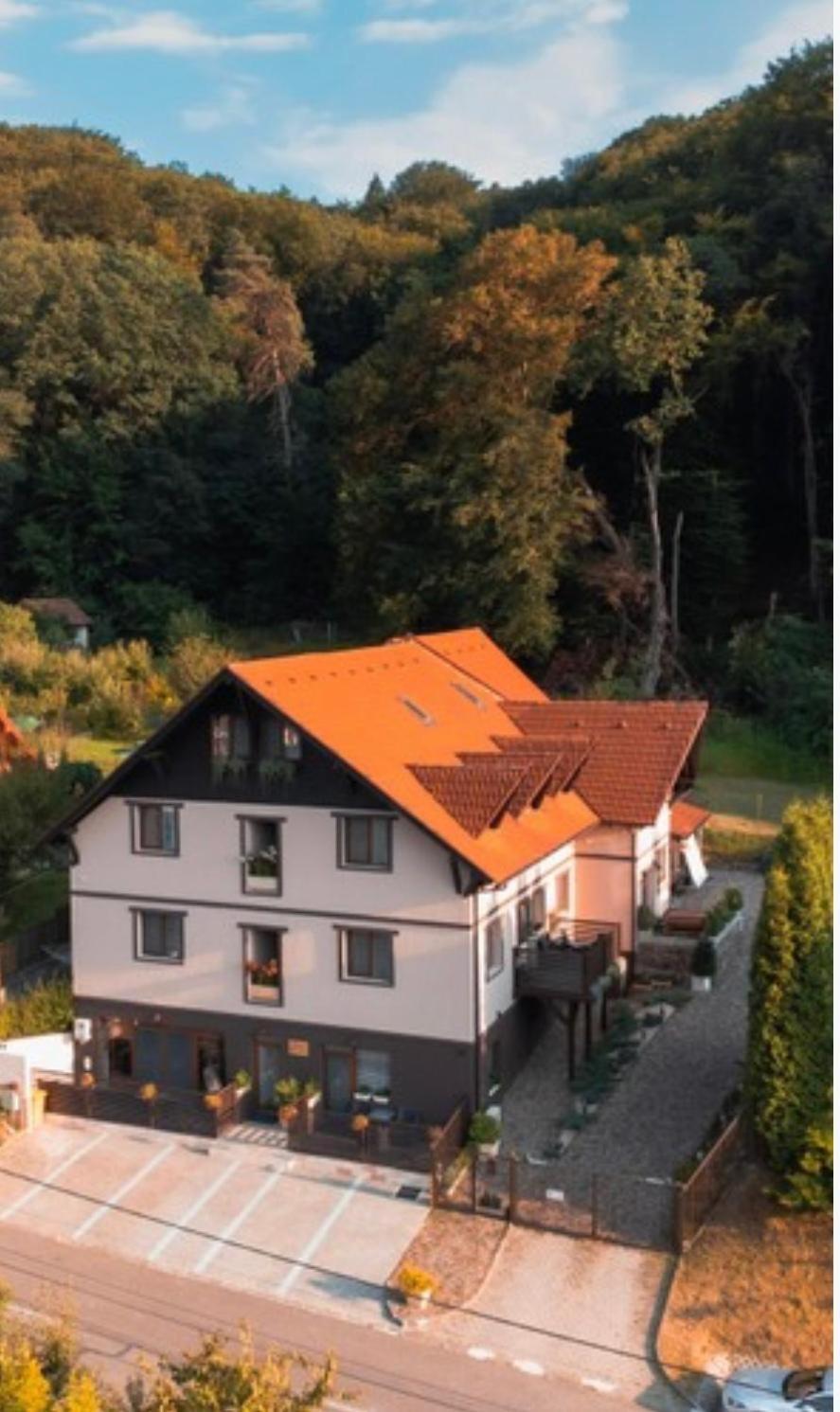 Silvan Villa - Apart Sighisoara Luaran gambar